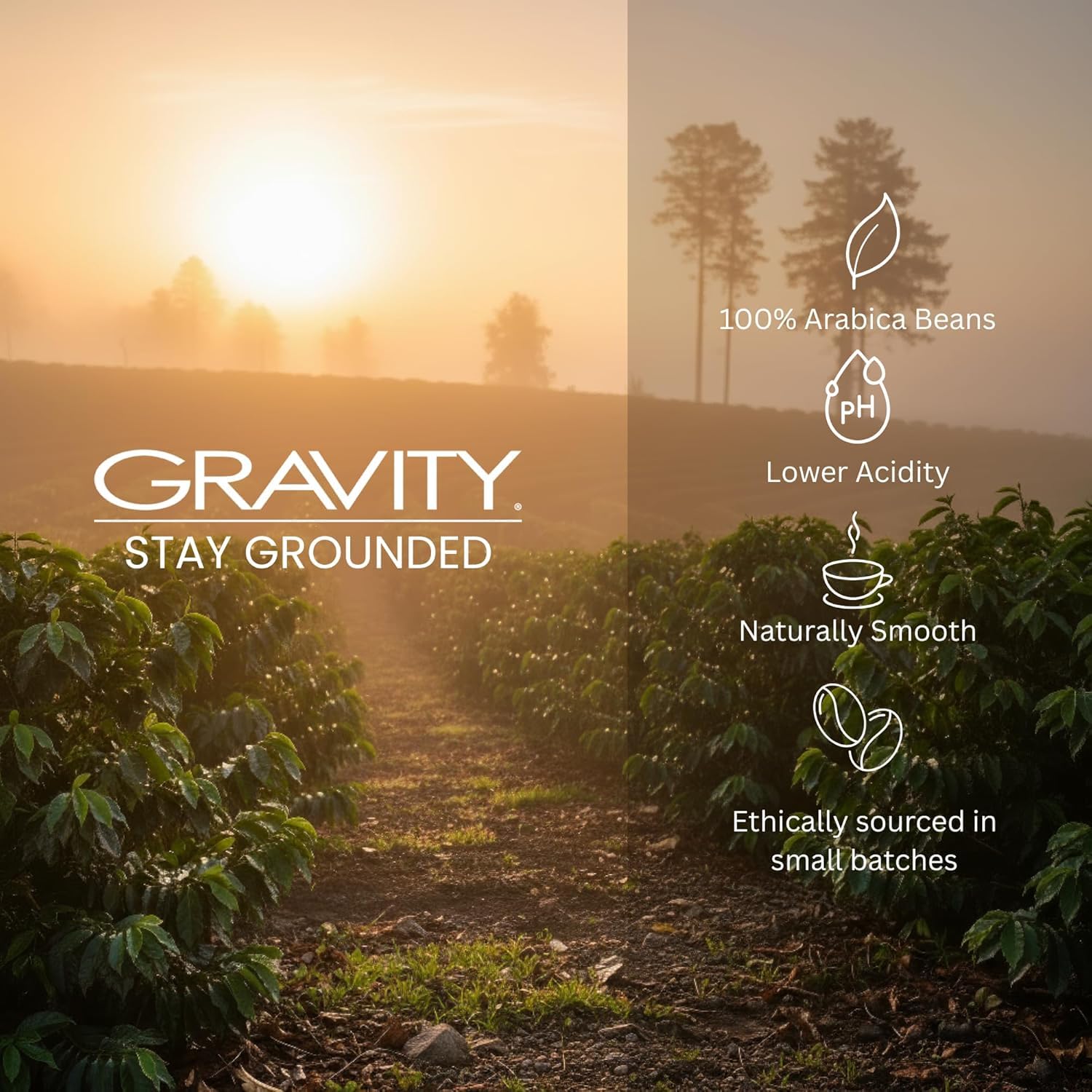 Gravity Coffee cup on kitchen counter showing everyday ritual benefit