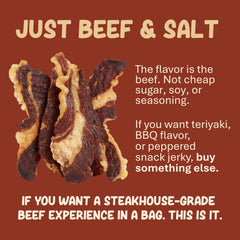 Grazly brisket slab held in hand showing portion size and portability benefit