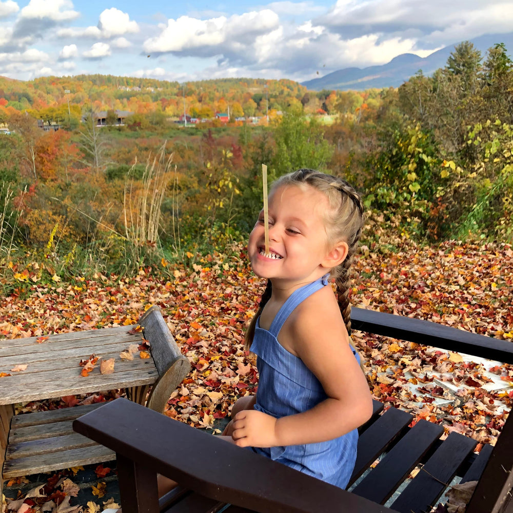 GROOVE HONEY children enjoying sticks illustrating kid-friendly flavor