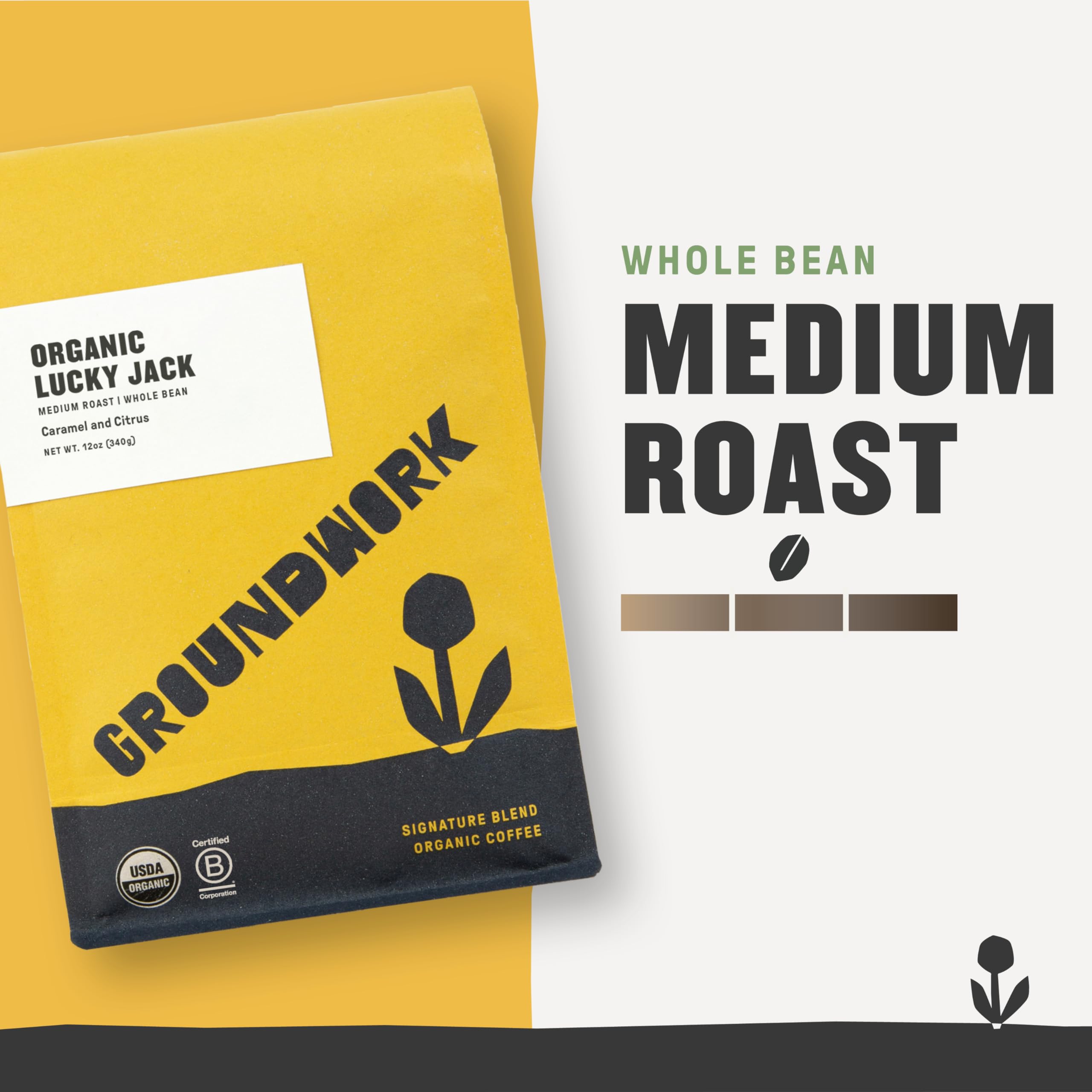 Groundwork Lucky Jack whole-bean close-up displaying roast consistency