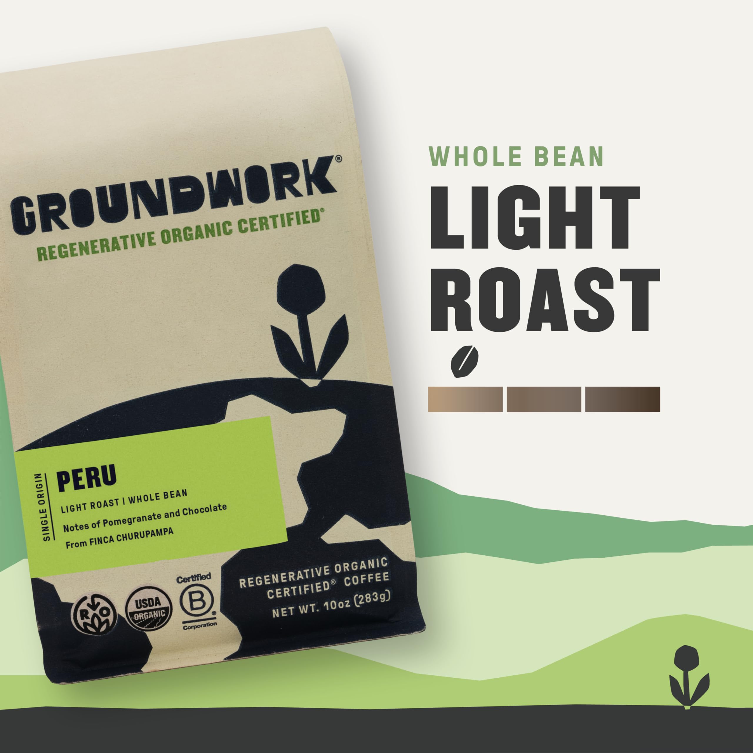 Groundwork close-up of whole bean texture highlighting freshness and roast quality