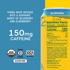 Guayaki close-up of can label and texture highlighting flavor details