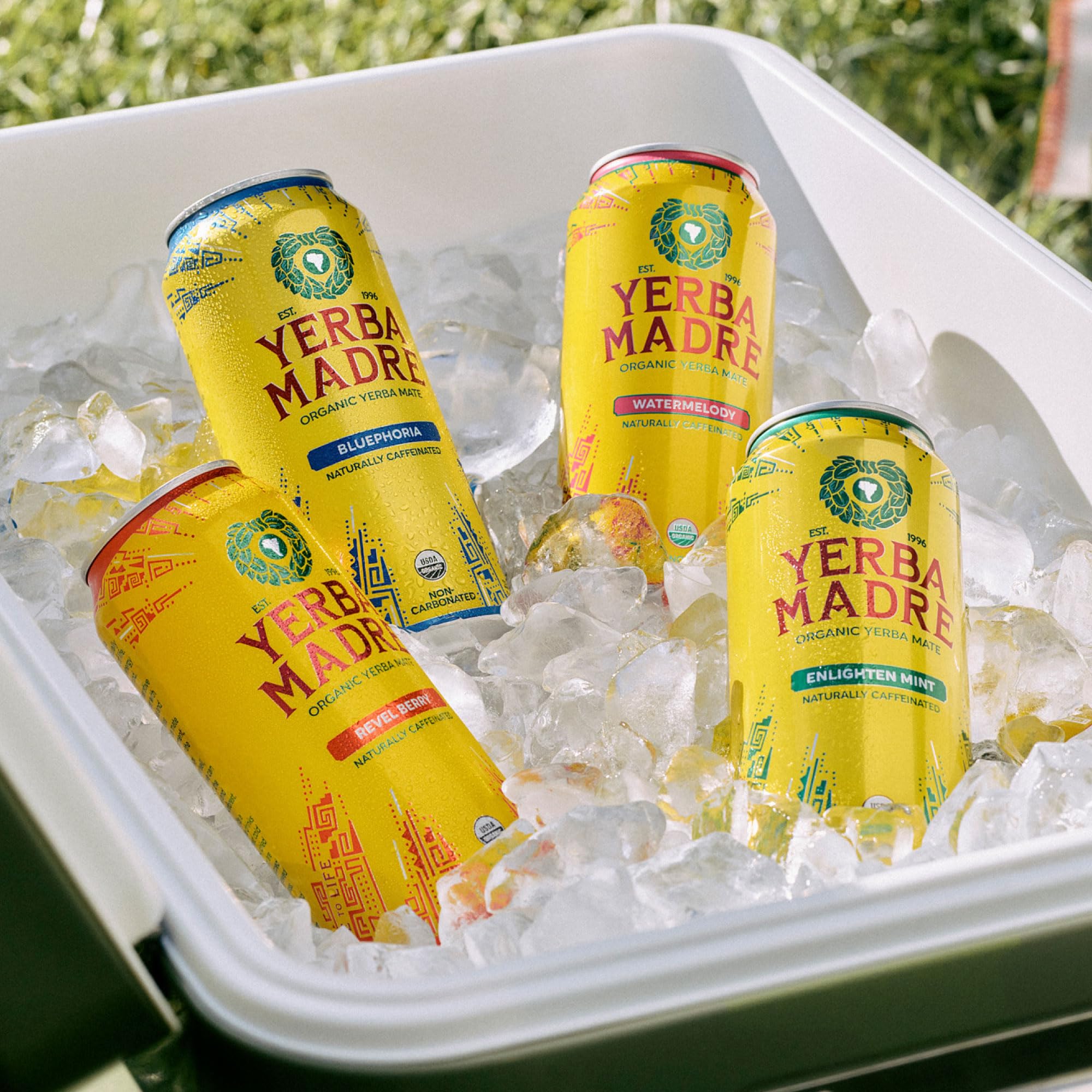 Guayaki can held in hand showing scale and portability benefit
