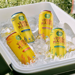 Guayaki can held in hand showing scale and portability benefit
