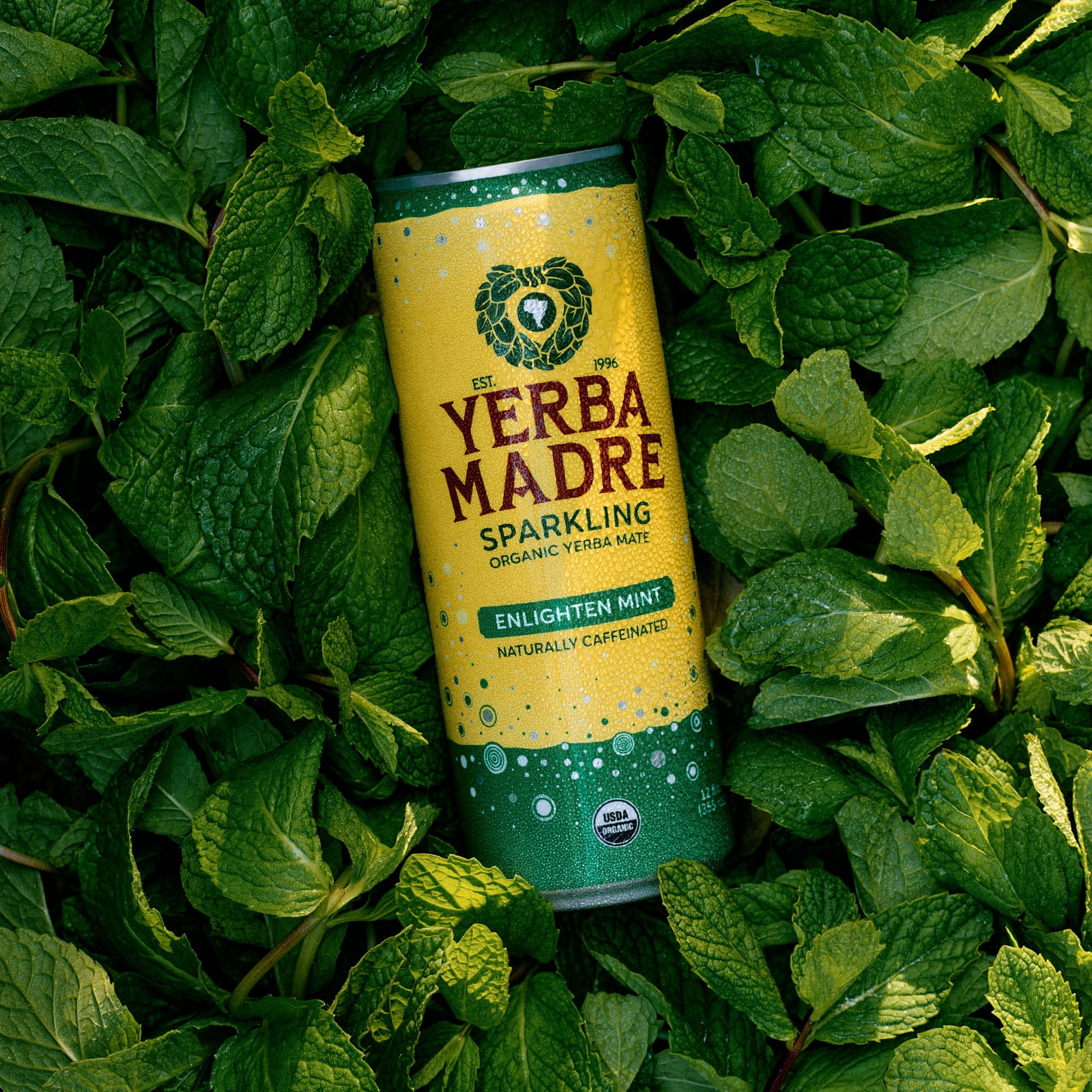 Guayaki poured into glass with bubbles showing refreshing mint taste