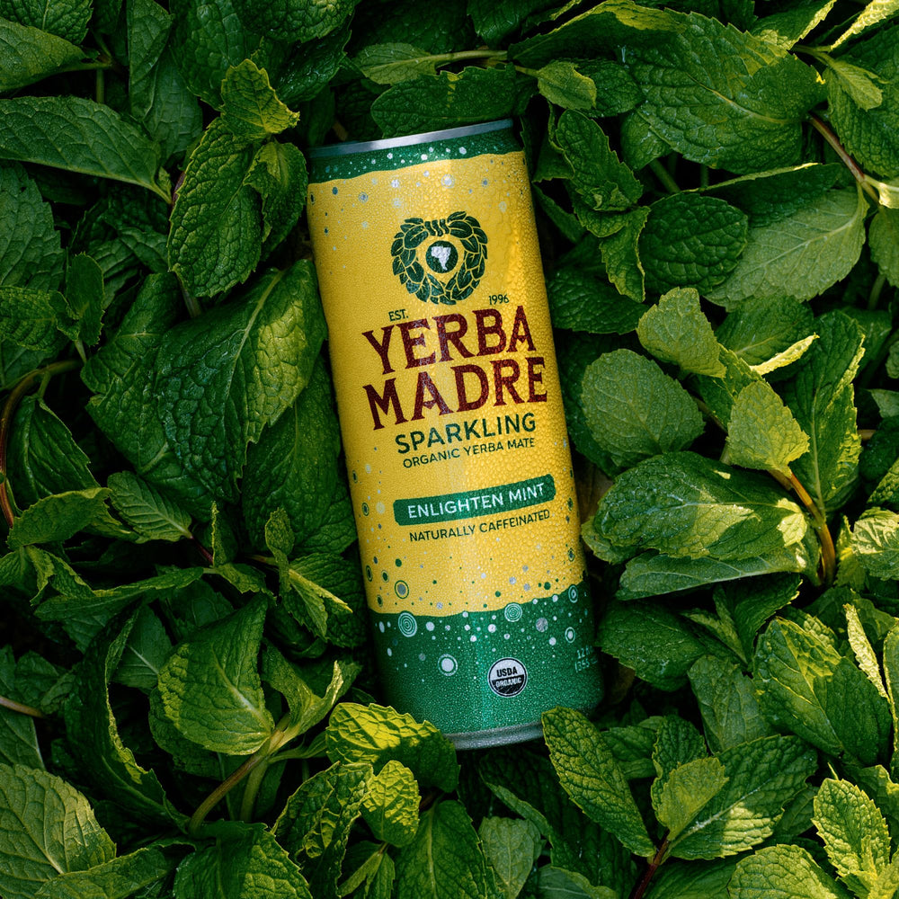 Guayaki poured into glass with bubbles showing refreshing mint taste