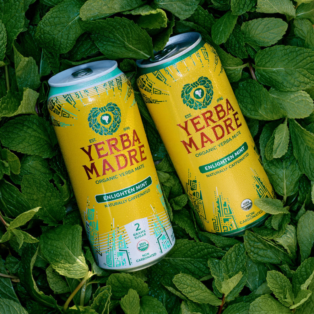 Guayaki cans at outdoor picnic suggesting sustained focus during activities
