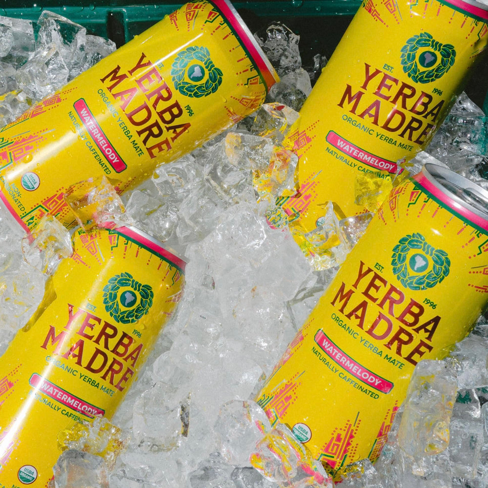 Guayaki Watermelody close-up carbonation and texture conveying fizzy mouthfeel benefit
