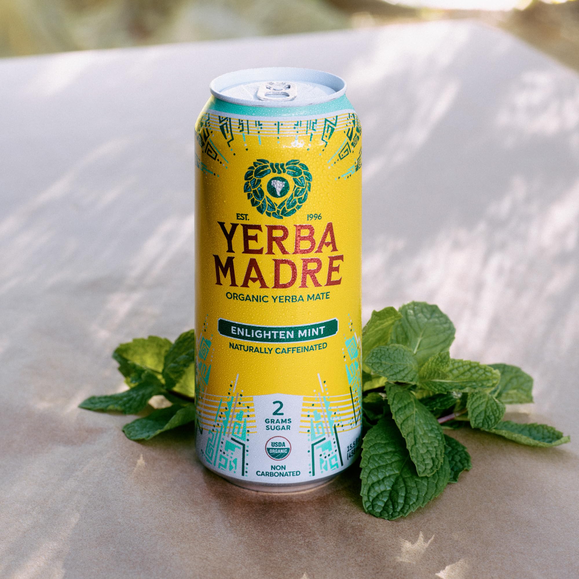Guayaki yerba leaves closeup highlighting natural plant-based energy