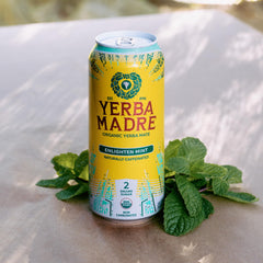 Guayaki yerba leaves closeup highlighting natural plant-based energy