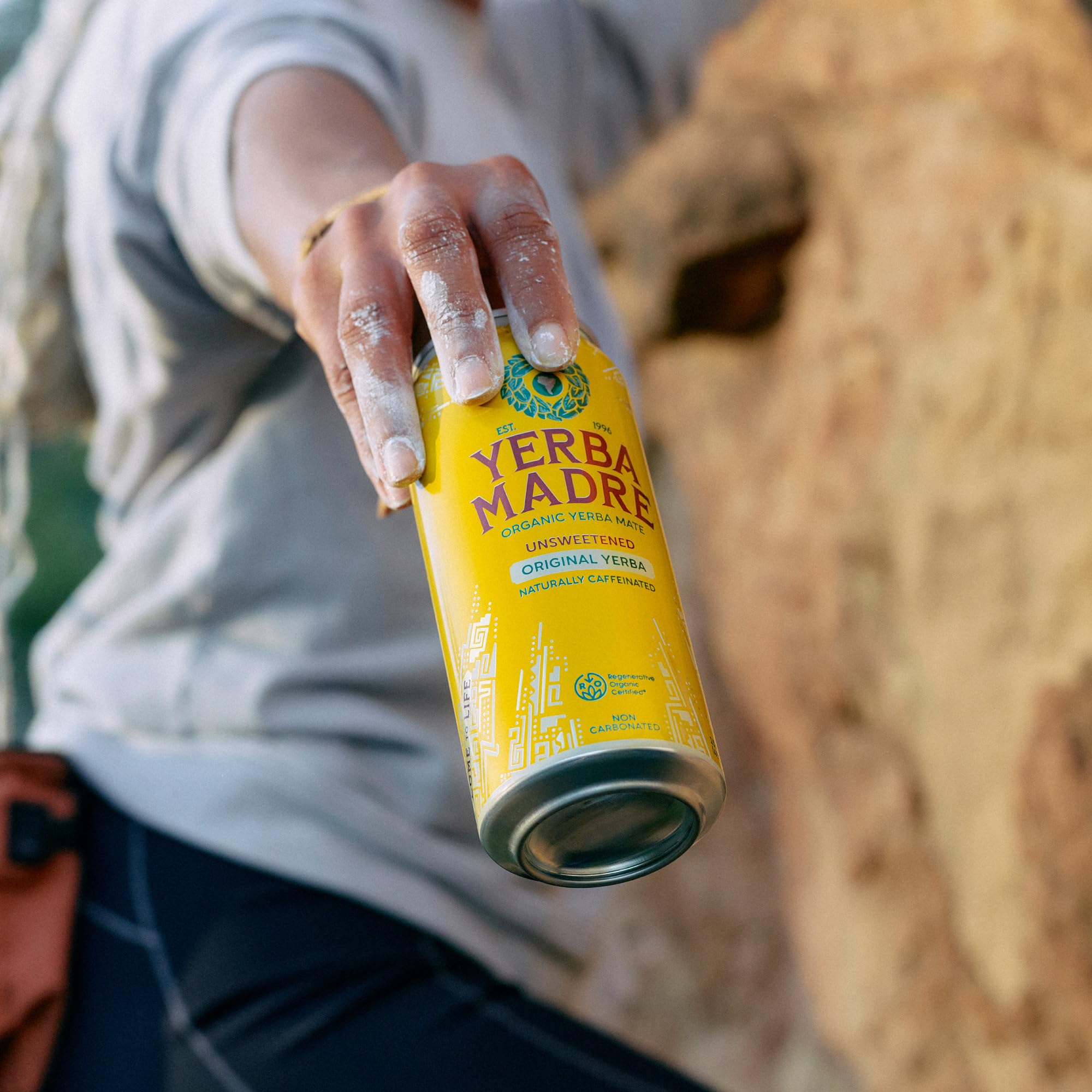 Guayaki Yerba Madre close-up label showing organic ingredients and clarity