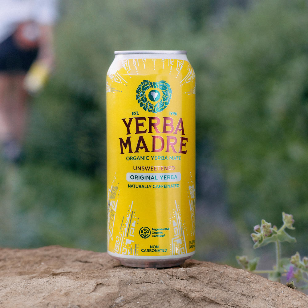 Guayaki Yerba Madre can in hand for scale and portable caffeine boost