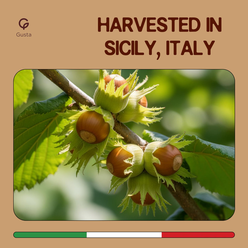 GUSTA chopped hazelnuts sprinkled over gelato adding crunchy finish