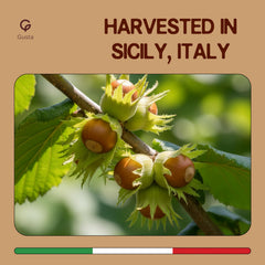 GUSTA chopped hazelnuts sprinkled over gelato adding crunchy finish