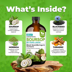 H FOR HERBS flatlay of soursop, moringa, turmeric and black seed ingredients