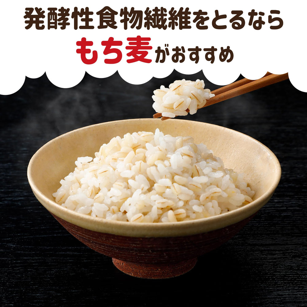 Hakubaku close-up texture of glutinous pearled barley showing chewy grain benefit
