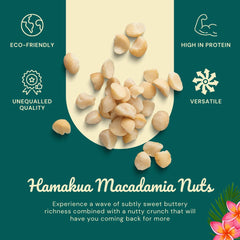 Hamakua nut cross-section showing creamy interior and crunchy exterior for satisfying texture