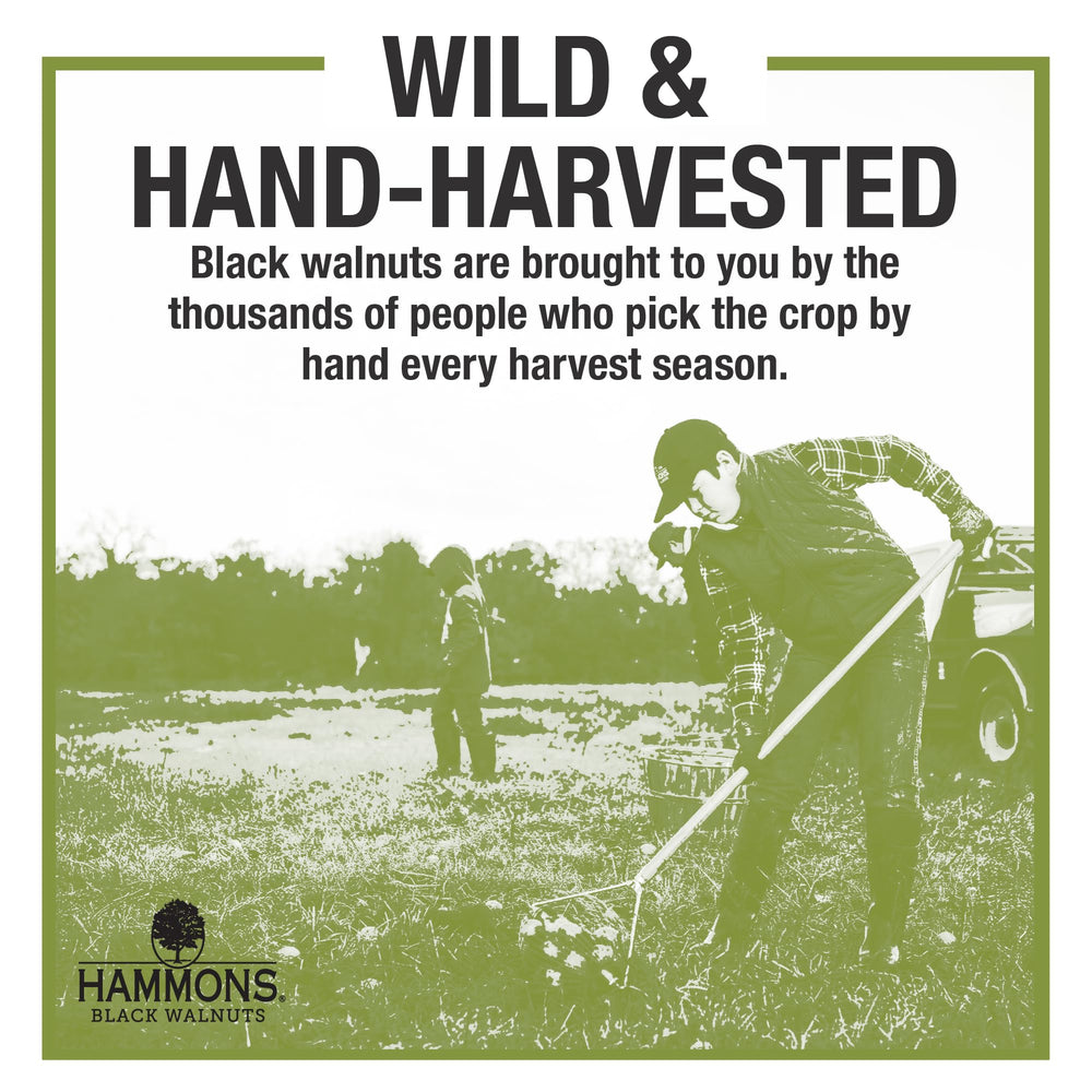 Hammons resealable pack zipper detail preserving crunch and extending shelf life