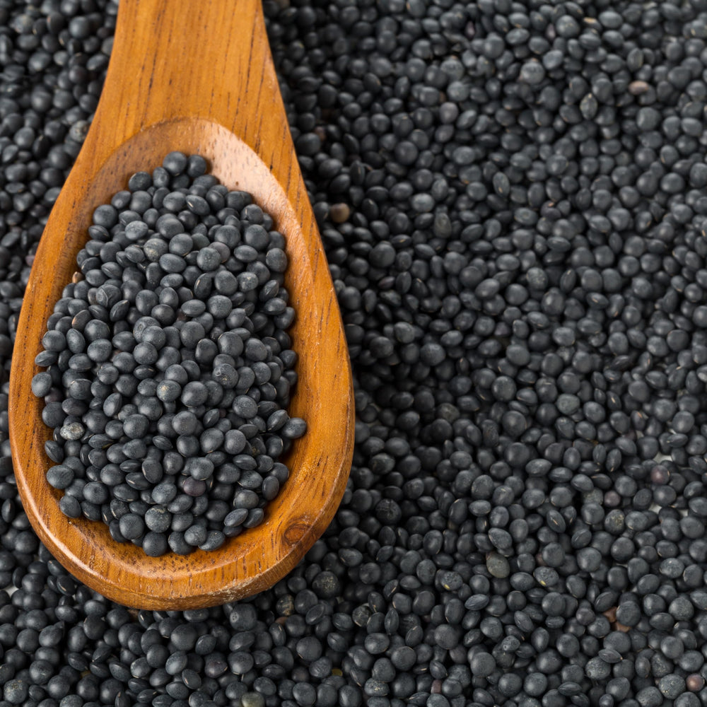 Hampton Distribution cooked black beluga lentils in salad showing versatile use