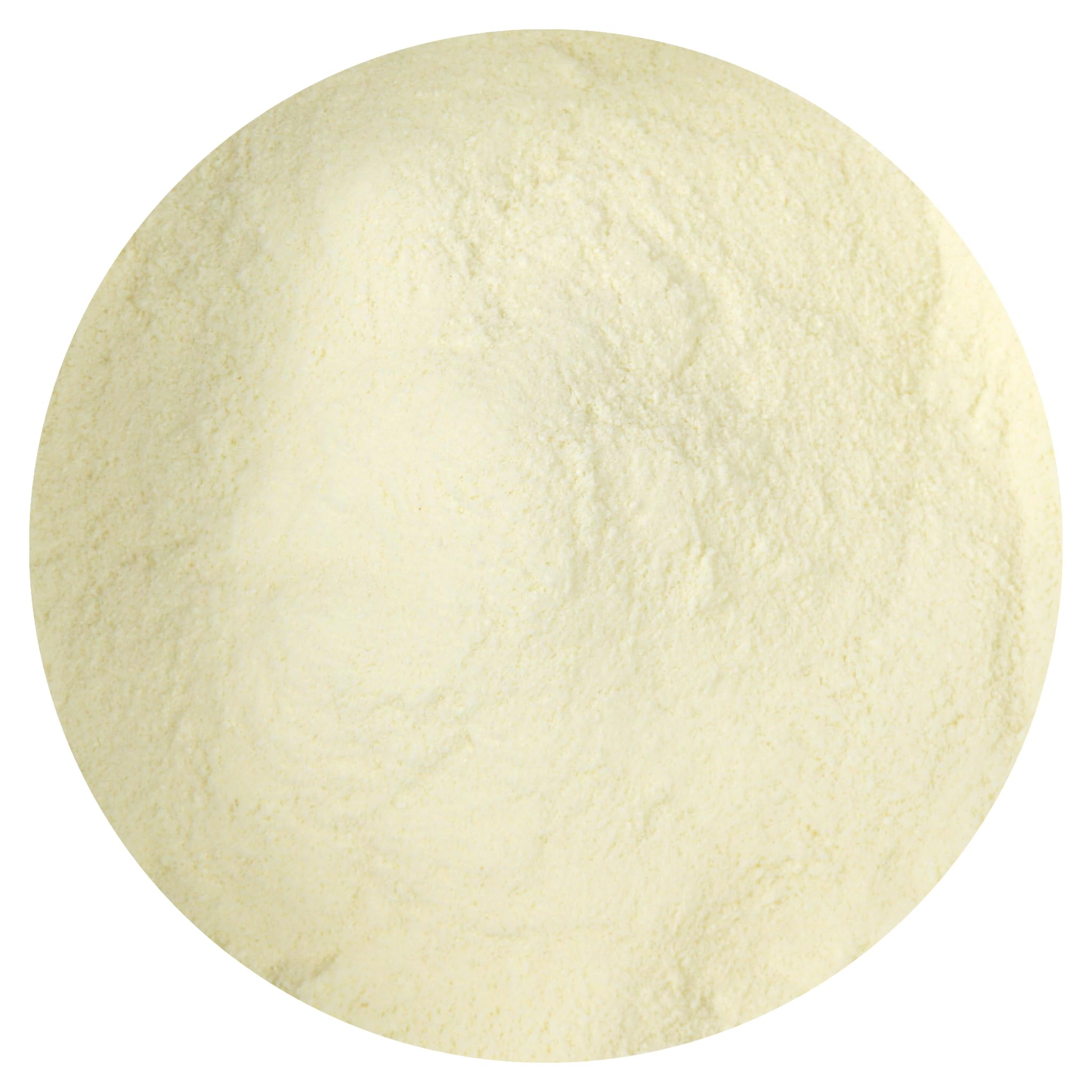 close-up of Hampton Distribution buttermilk powder texture highlighting fine, creamy granules