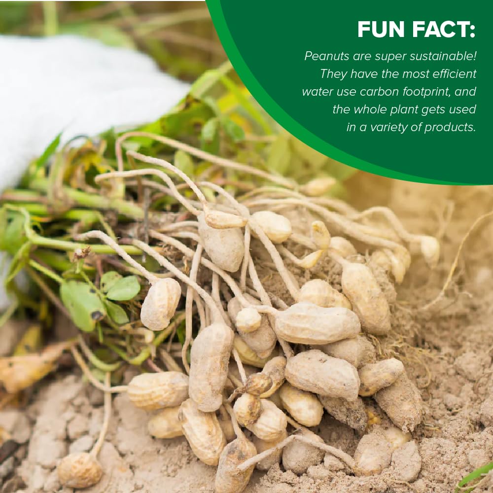 Hampton Farms peanuts used as salad topper, adds spicy crunch and flavor