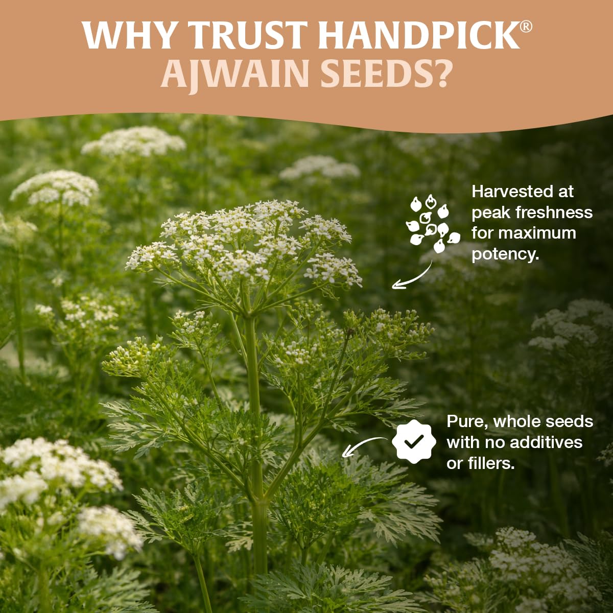 HANDPICK label detail highlighting vegan gluten-free non-GMO info
