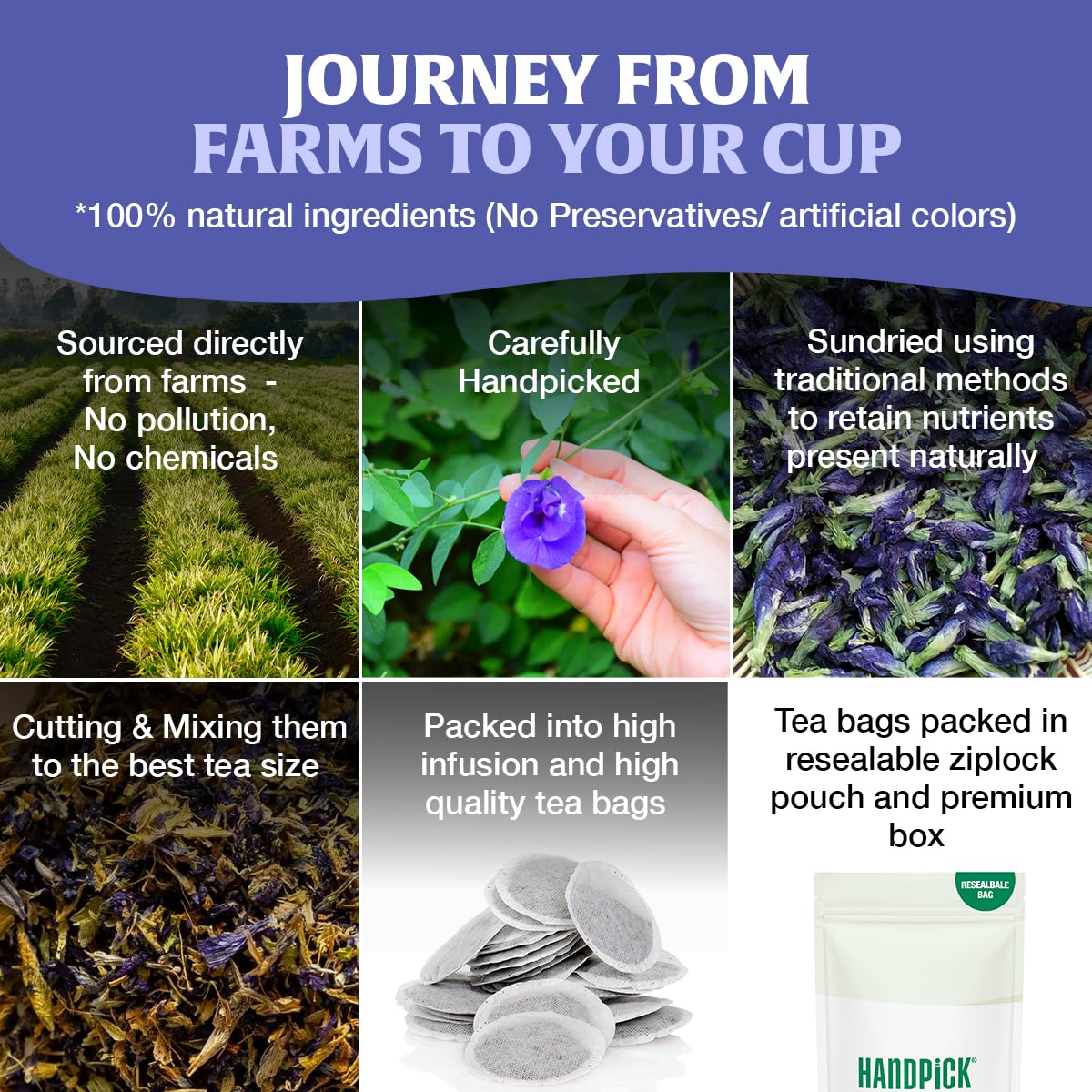HANDPICK blue cocktail cooler with garnish displaying mixology and presentation benefits
