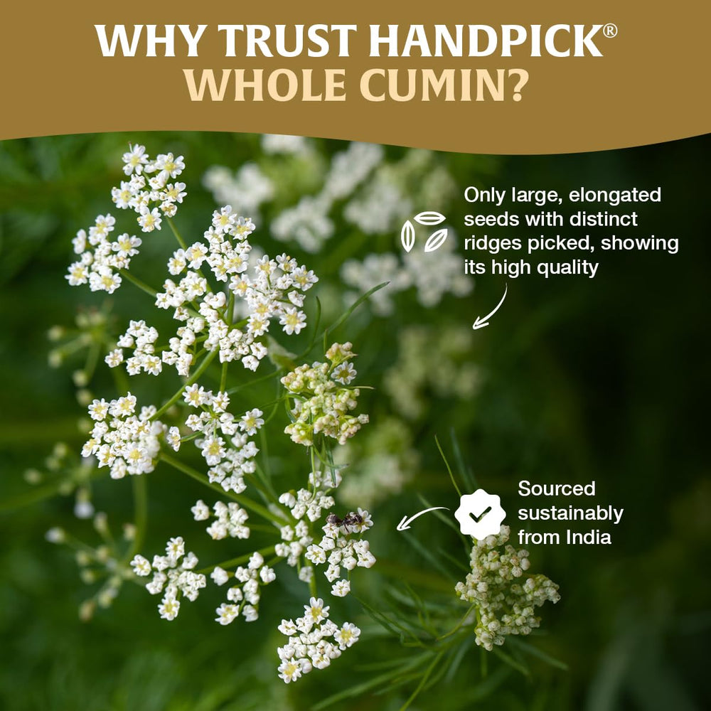 HANDPICK kitchen scene with spices showing everyday cooking inspiration benefit