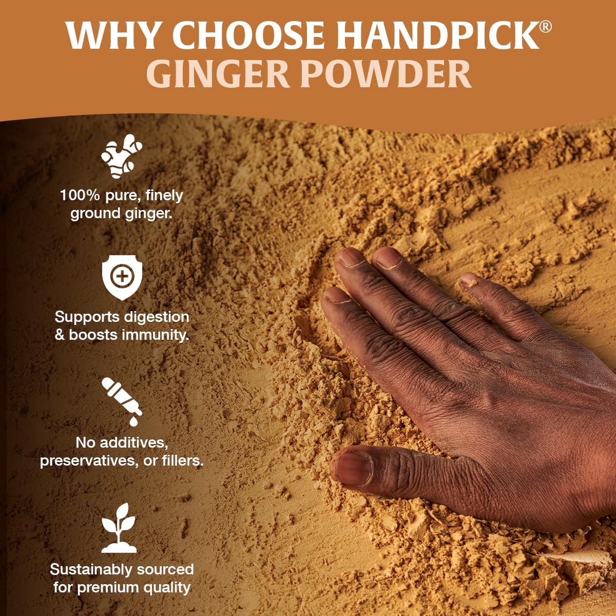 HANDPICK close-up of fine ginger powder texture highlighting aroma and consistency