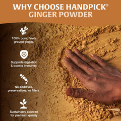 HANDPICK close-up of fine ginger powder texture highlighting aroma and consistency