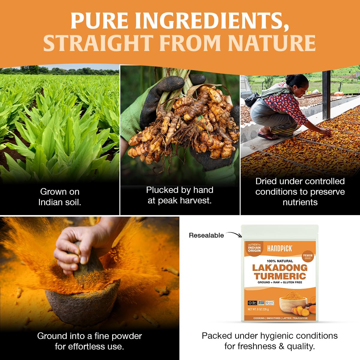 HANDPICK teaspoon of turmeric measured for cooking convenience and consistent flavor