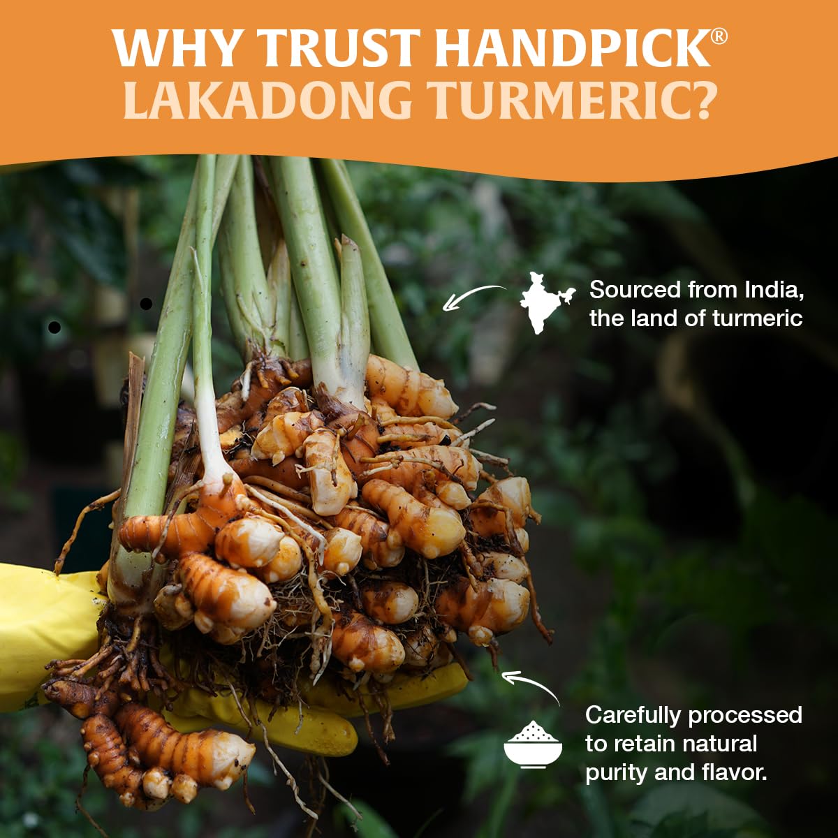 HANDPICK turmeric sprinkled on food adding color and warm spice benefit