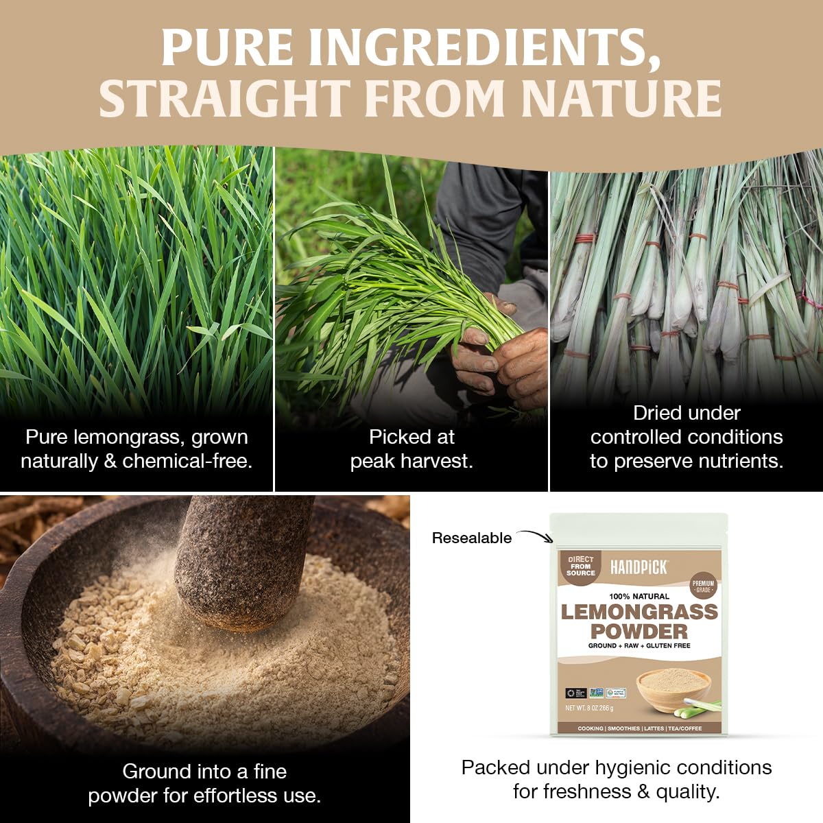 HANDPICK lemongrass powder sprinkled into soup enhancing aromatic flavor