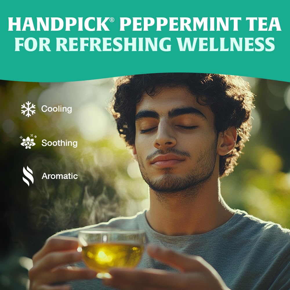 HANDPICK pitcher of iced peppermint tea served, showing refreshing chill