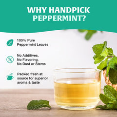 HANDPICK close-up of unbleached peppermint tea bag texture and fine leaves