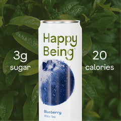 Happy Being ingredients flatlay with blueberries, turmeric, elderberry highlighting botanicals