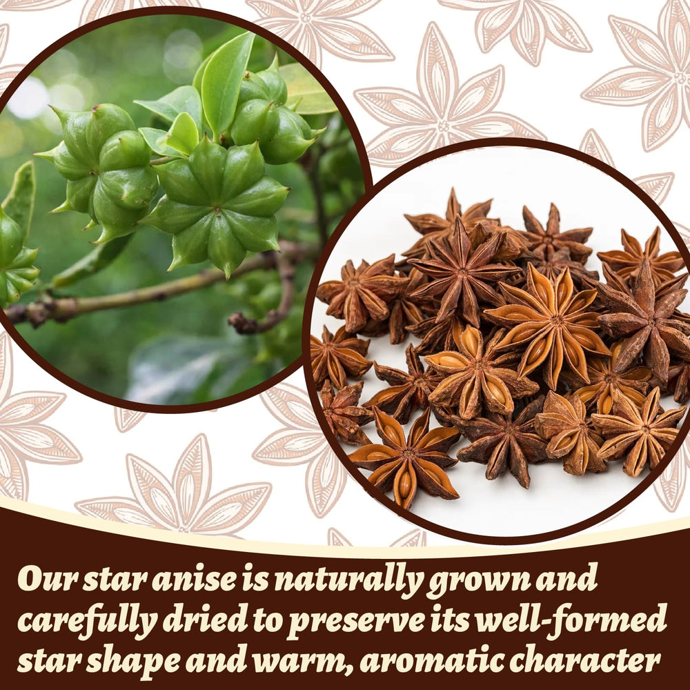 HAVNDRAE ground star anise with other spices showing versatility for baking benefit