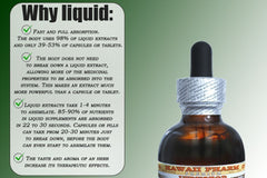 Hawaii Pharm mullein bottle beside a coin for size comparison and portable convenience