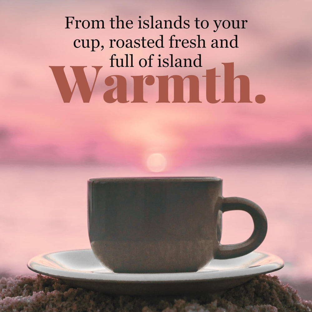 Hawaiian Isles Coffee 8 oz bag held in hand showing compact size and portability