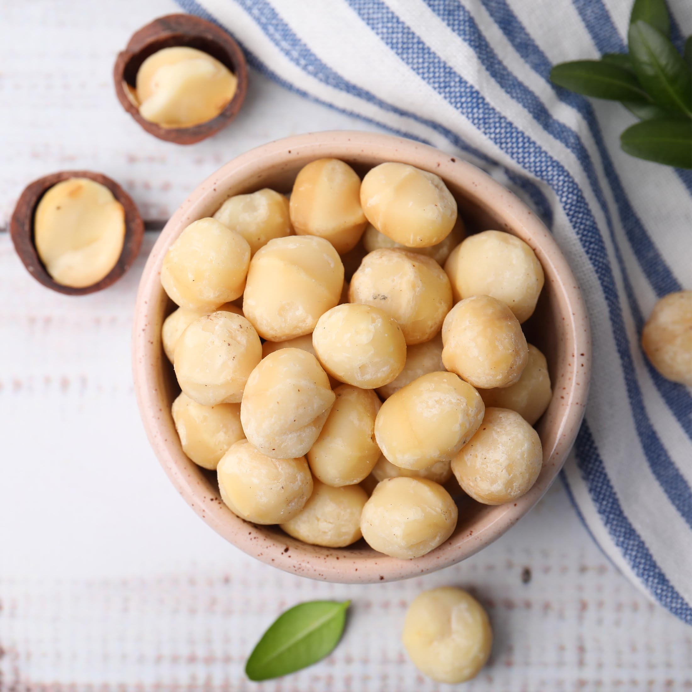 Hawaiian Macadamia Nut Company nut held in hand to show size and portion control