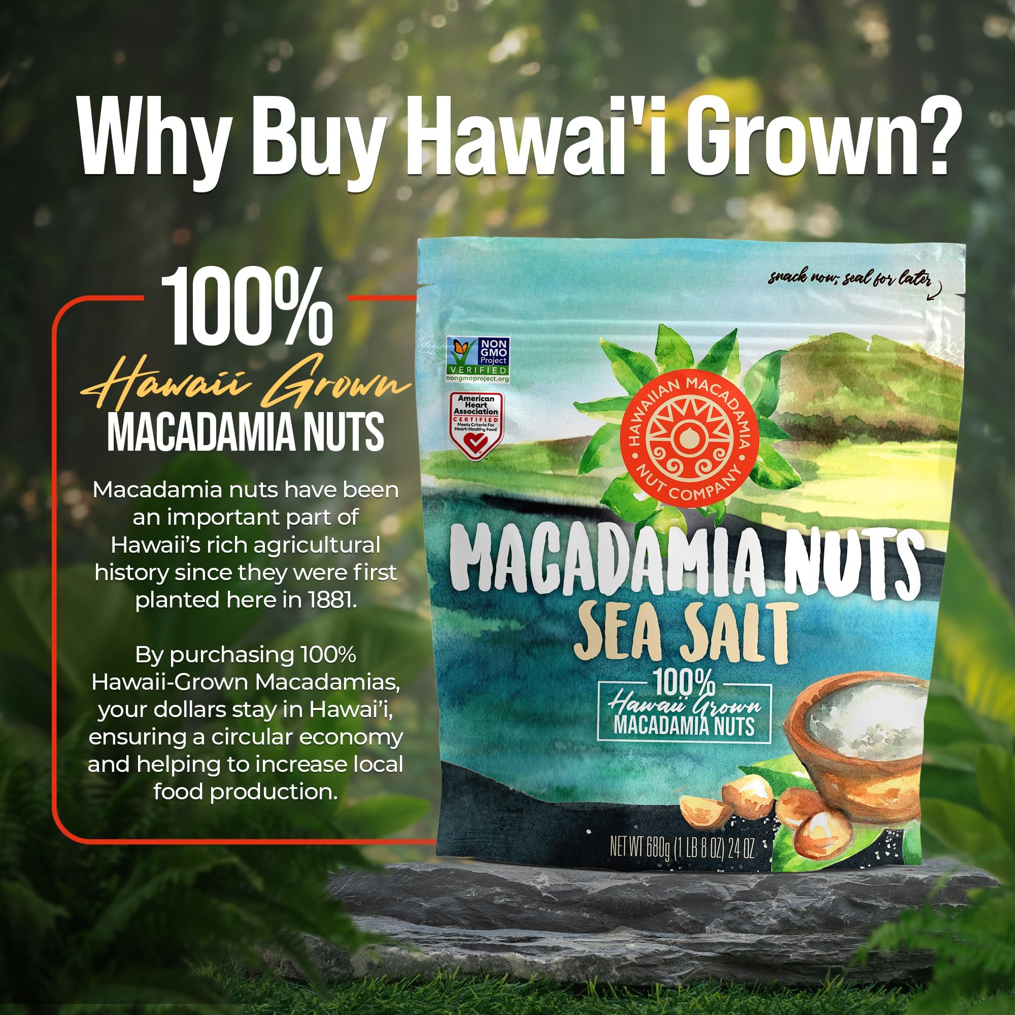 Hawaiian Macadamia Nut Company roasted nut texture emphasizing golden crispness