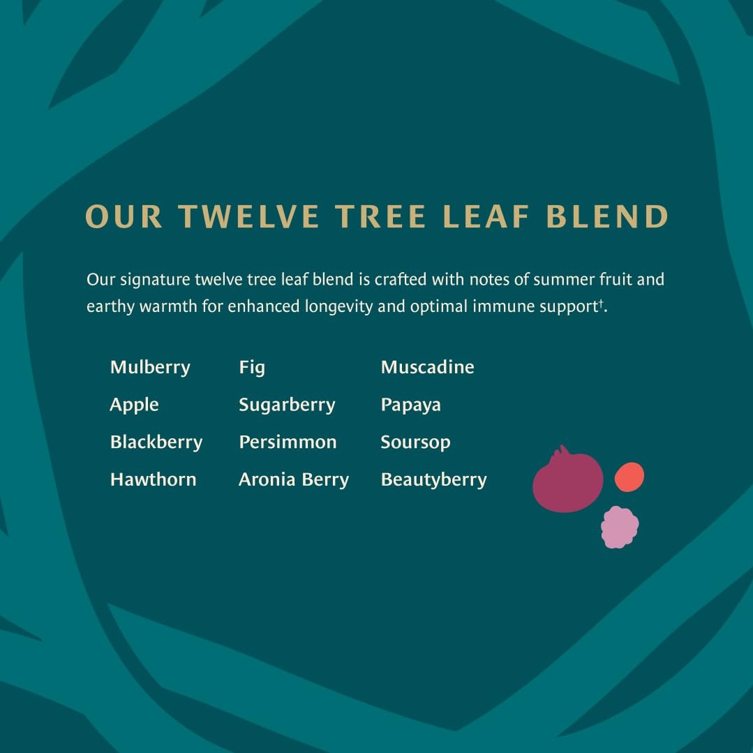 Healing Leaves cold-brew pitcher with ice for refreshing, smooth flavor benefits