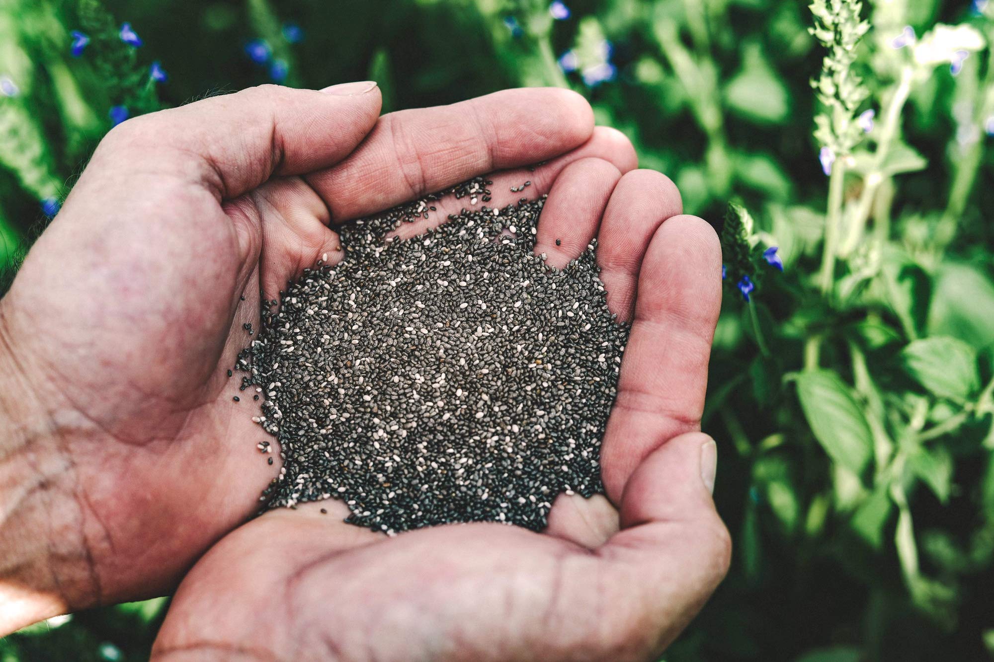 Heartland Chia label and nutrition facts highlighting non-GMO, traceable sourcing
