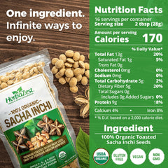 HerbaZest seeds close-up texture highlighting crunchy protein benefit