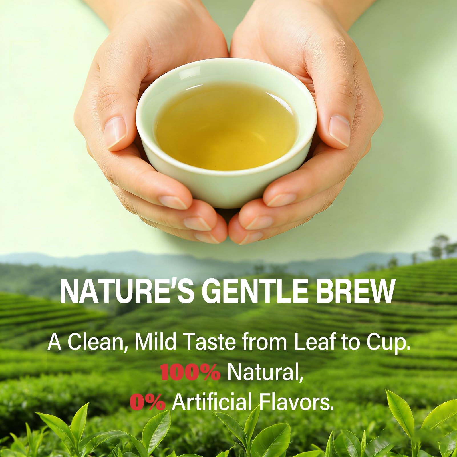 HerbOLITHIC individually wrapped tea bag detail preserving freshness benefit
