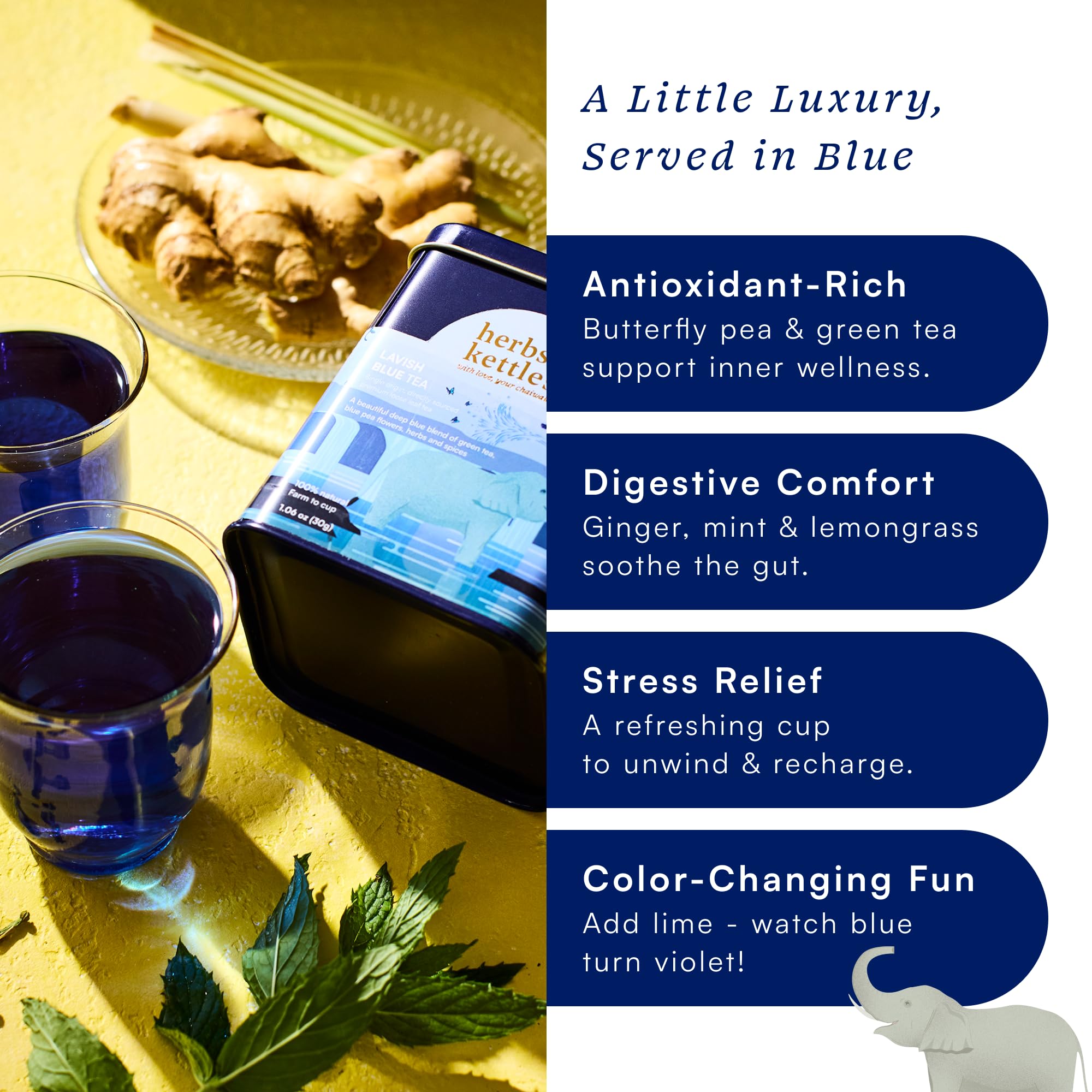 Herbs & Kettles steeping cup pouring vivid blue infusion for visual appeal