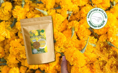 Hida Beauty close-up of marigold petals texture, shows color and quality