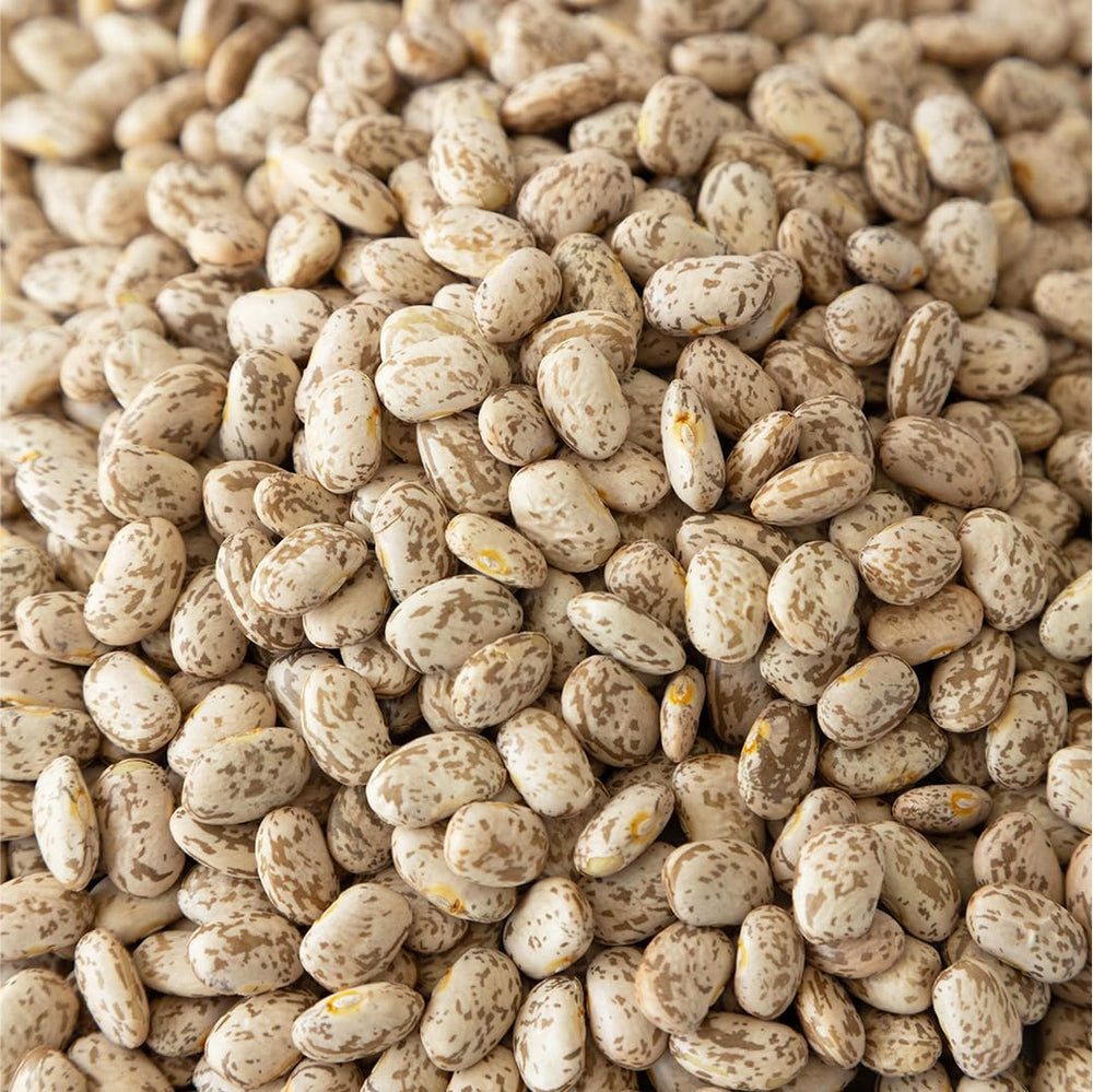 High Plains Beans cooking pot with simmering beans demonstrating consistent results
