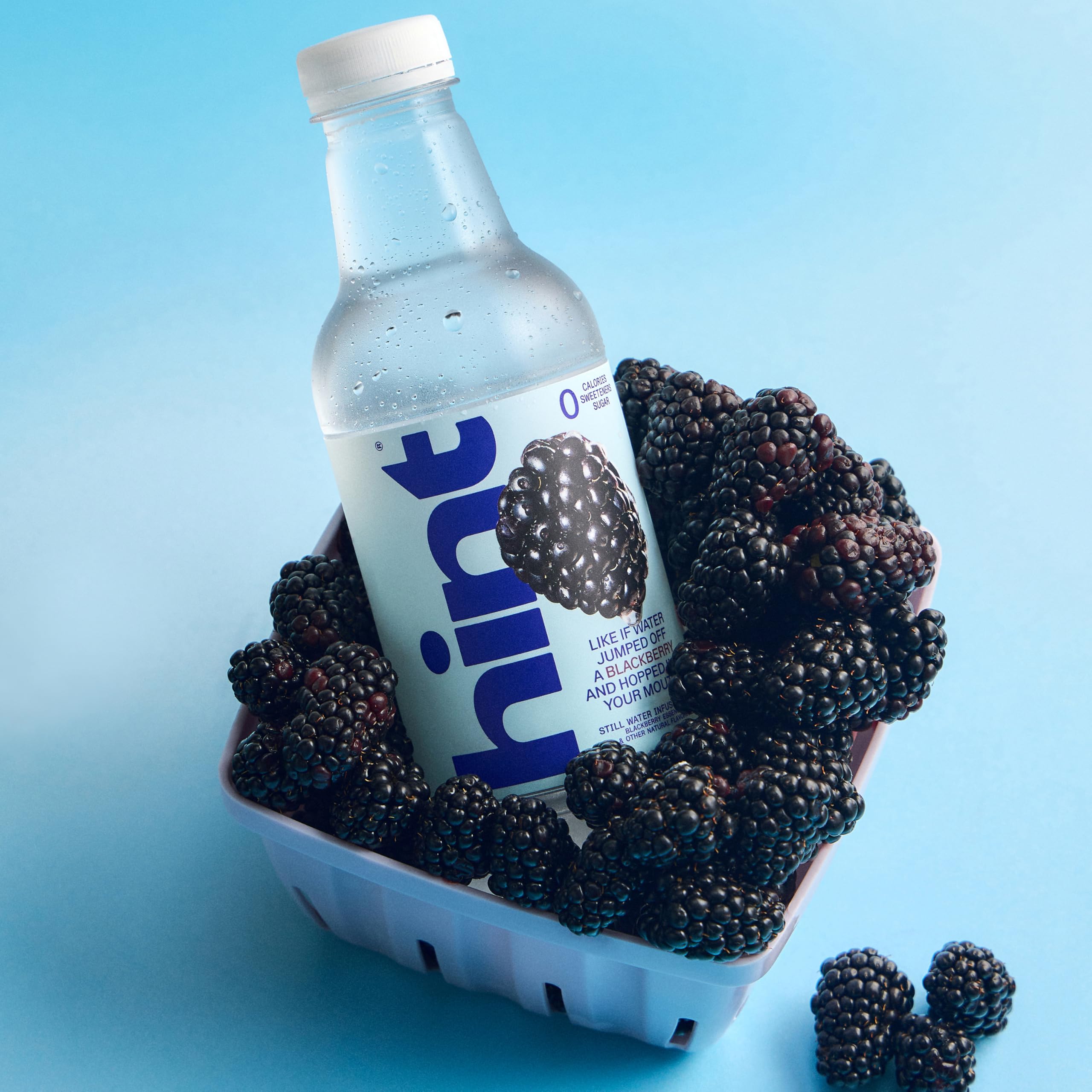 Hint blackberry held in hand showing 16 fl oz size and on-the-go convenience
