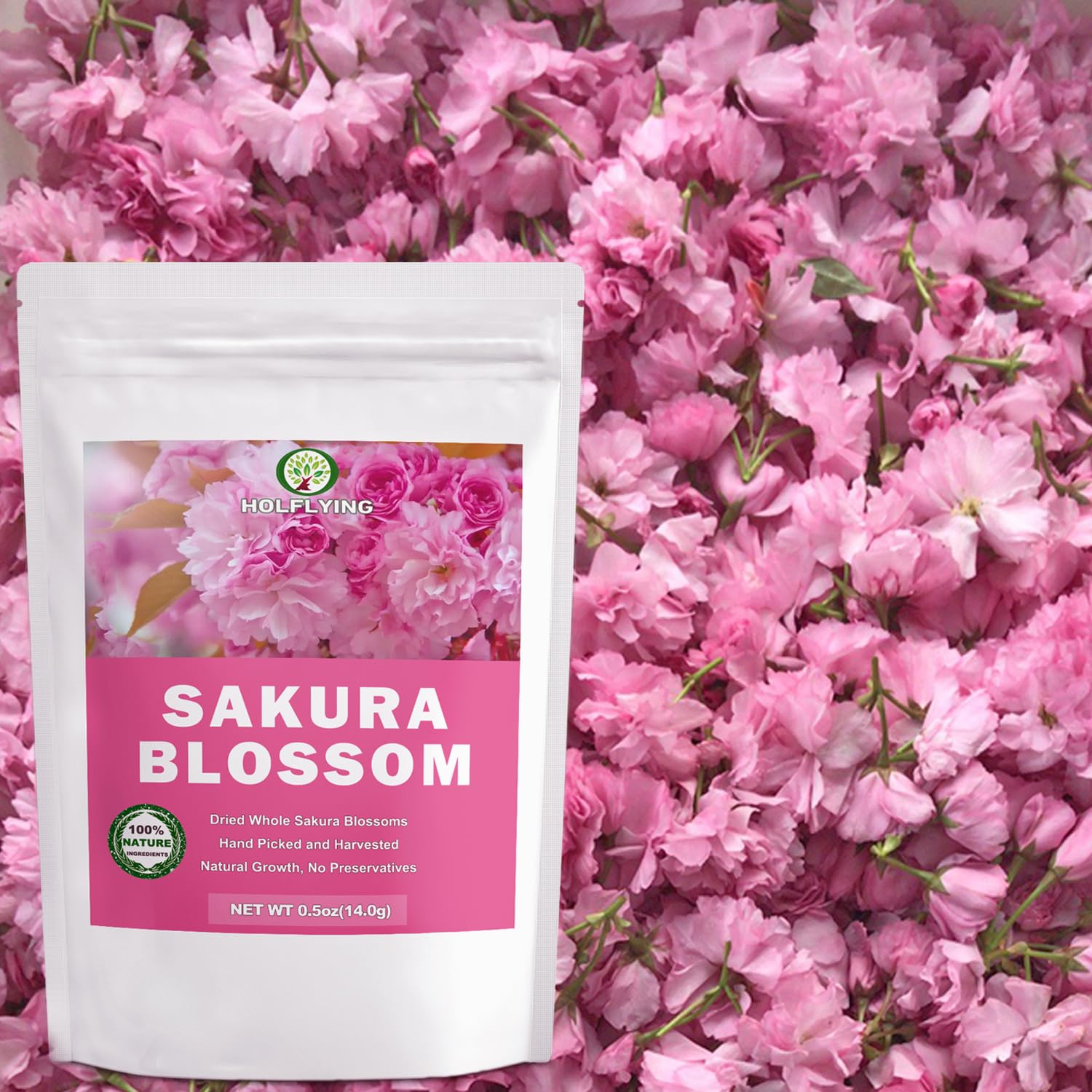 HOLFLYING whole blossom rehydrating in teacup, showcases brewing clarity and scent